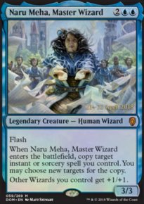 Naru Meha, Master Wizard - 