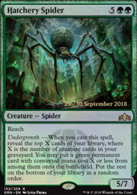 Hatchery Spider - 