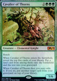 Cavalier of Thorns - 