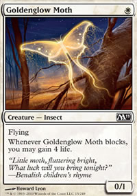 Goldenglow Moth - 