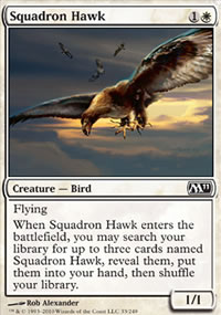 Squadron Hawk - Magic 2011