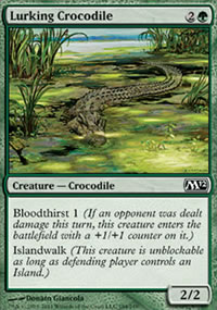 Lurking Crocodile - 