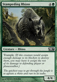 Stampeding Rhino - 