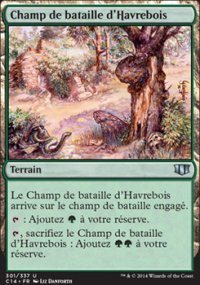 Champ de bataille d'Havrebois - 