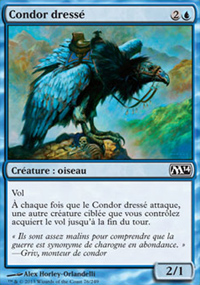 Condor dress - 