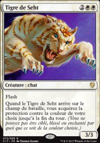 Tigre de Seht - 