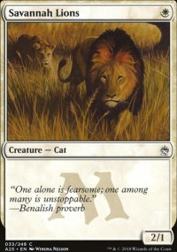 Savannah Lions - 