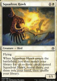 Squadron Hawk - 