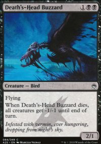 Death's-Head Buzzard - 