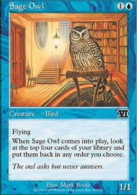 Sage Owl - 