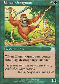 Uktabi Orangutan - 