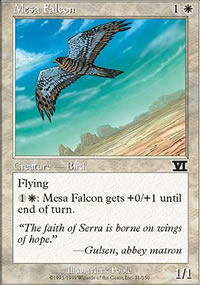 Mesa Falcon - 6th Edition