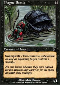 Plague Beetle - 