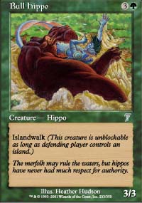 Hippopotame mle - 