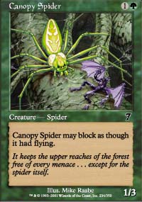 Canopy Spider - 7th Edition