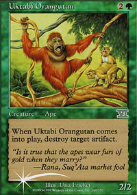 Uktabi Orangutan - 