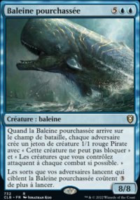 Baleine pourchasse - 
