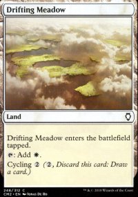 Drifting Meadow - 