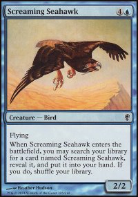 Screaming Seahawk - 