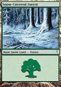 Snow-Covered Forest - 