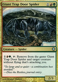 Giant Trap Door Spider - 