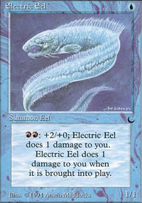 Electric Eel - 