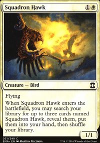 Squadron Hawk - Eternal Masters