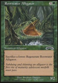Rootwater Alligator - 