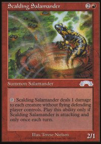 Salamandre brlante - 
