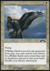 Welkin Hawk - 