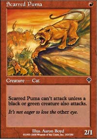 Puma coutur - 