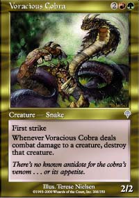 Cobra vorace - 