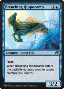 Breaching Hippocamp - 