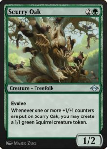 Scurry Oak - 