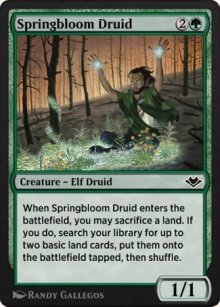 Springbloom Druid - 