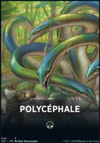 Polycphale - 