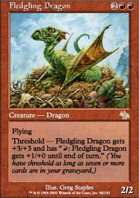 Fledgling Dragon - 