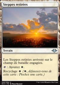 Steppes retires - 
