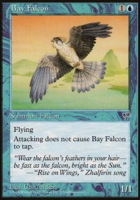 Bay Falcon - 