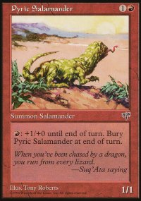 Pyric Salamander - 
