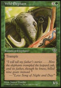 Wild Elephant - 