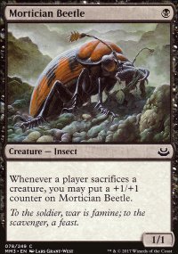 Mortician Beetle - 