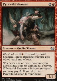 Pyrewild Shaman - 