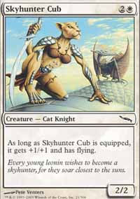 Skyhunter Cub - 