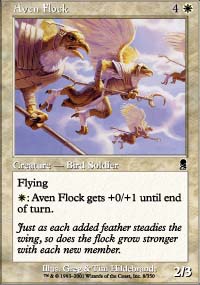 Aven Flock - 