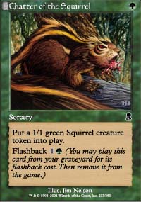 Chatter of the Squirrel - 