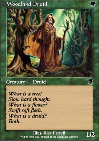 Woodland Druid - 