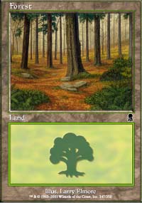 Forest - 