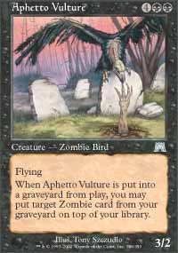 Aphetto Vulture - 