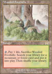Wooded Foothills - 